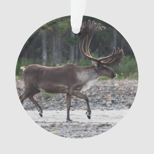 caribou ornament (Front)