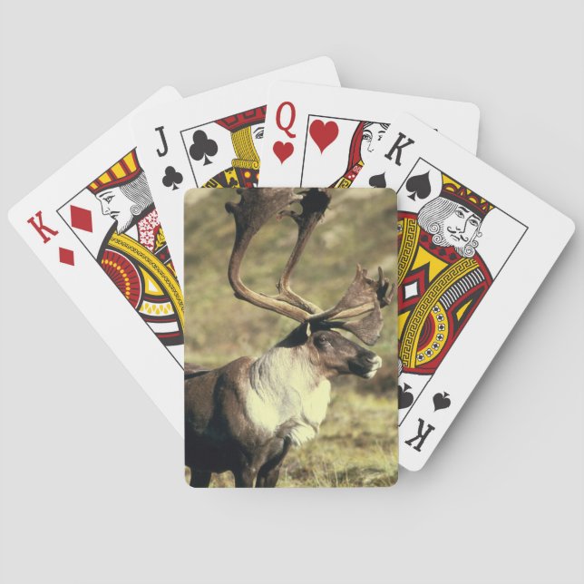 Caribou Playing Cards (Back)