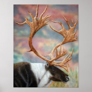 Caribou Poster