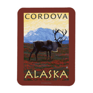 Caribou Scene - Cordova, Alaska Magnet