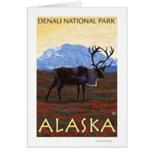 Caribou Scene - Denali National Park, Alaska Cards