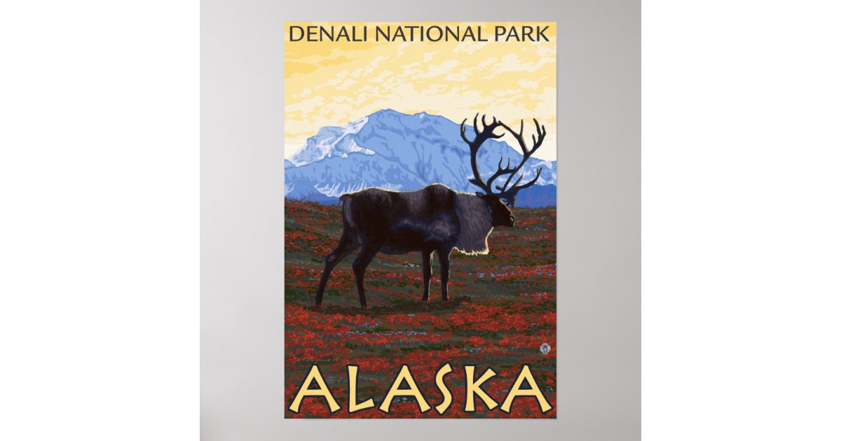 Caribou Scene - Denali National Park, Alaska Poster | Zazzle