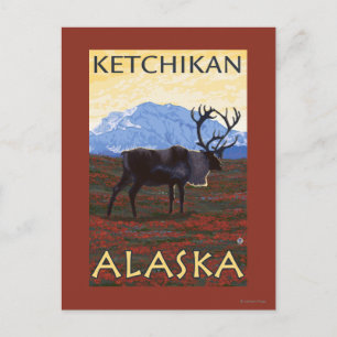 Caribou Scene - Ketchikan, Alaska Postcard