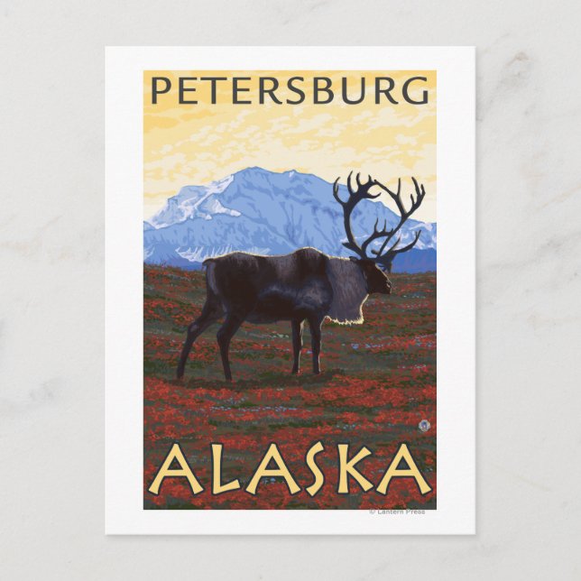 Caribou Scene - Petersburg, Alaska Postcard (Front)