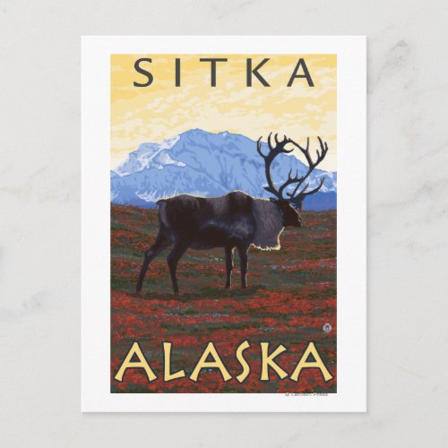 Caribou Scene _ Sitka Alaska Postcard