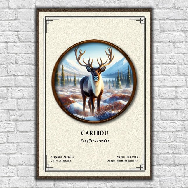 Caribou Zoology Series Poster (Creator Uploaded)