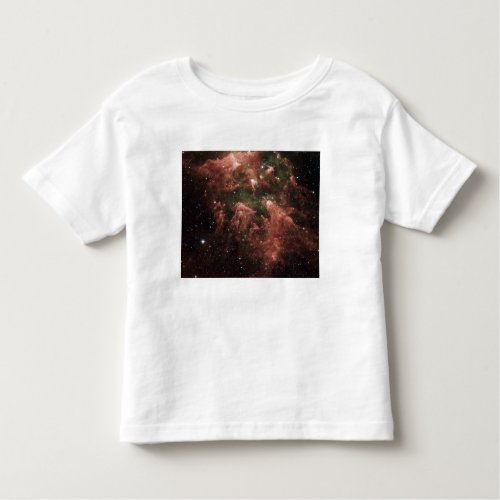 Carina Nebula Toddler T_shirt