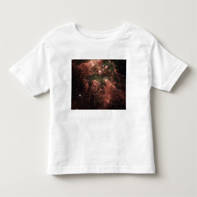 Carina Nebula Toddler T-shirt (Front)