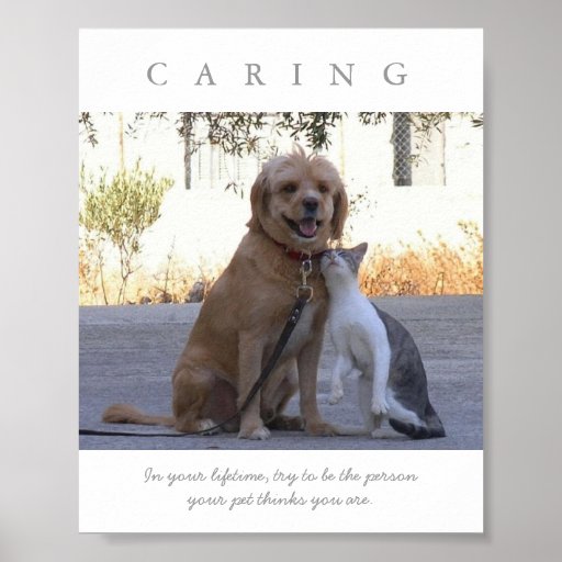 CARING Dog Cat Motivational Poster Print | Zazzle