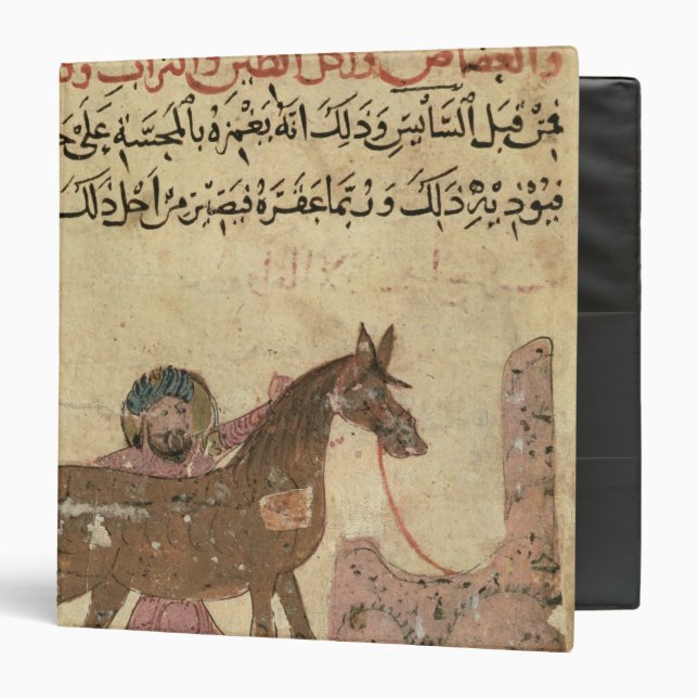 Caring for the horse, illustration 3 ring binder (Front/Inside)