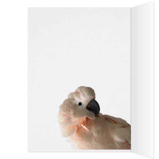 Caring is Sharing card (Inside (Left))