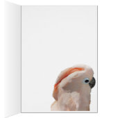 Caring is Sharing card (Inside (Right))