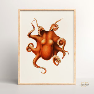 Carl Chun Vintage Octopus Illustration Marine Poster