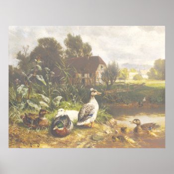 Carl_jutz_-_ducks_on_the_pond2_(modified) Poster by niceartpaintings at Zazzle