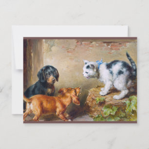 Carl Reichert Painting Brave Kitten Postcrossing Postcard