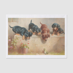 Carl Richert Dachshund Puppies And Frog Tissue Paper