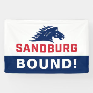 Carl Sandburg College Graduation Banner