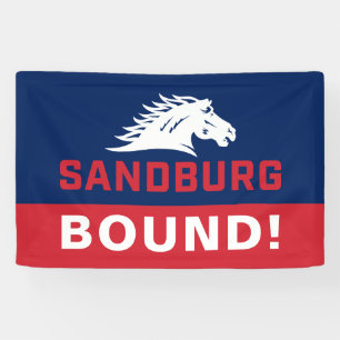 Carl Sandburg College Graduation Banner