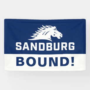 Carl Sandburg College Graduation Banner