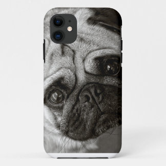 Carlino photograrian telephone cover