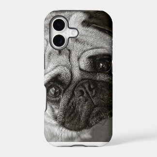 Carlino photograrian telephone cover