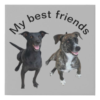 Carlos dogs Faux Canvas Print