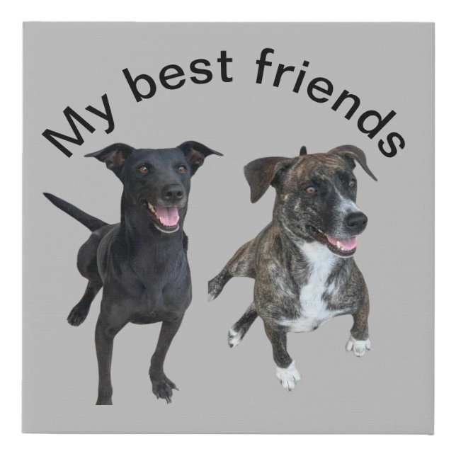 Carlos dogs Faux Canvas Print (Front)