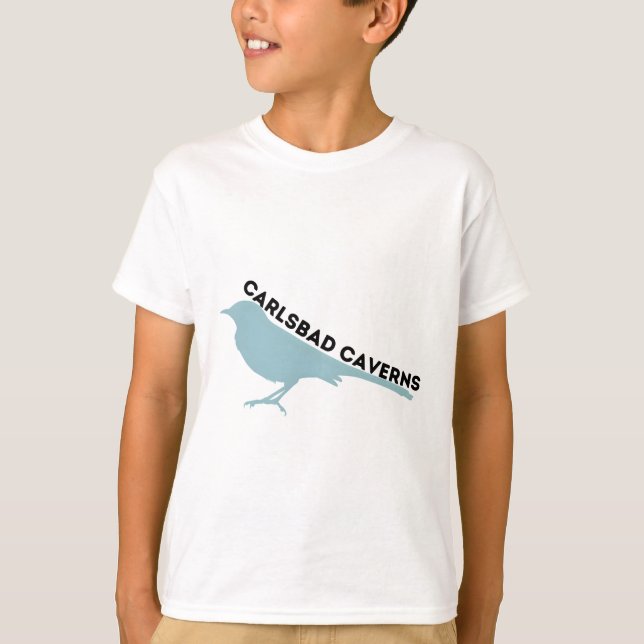 Carlsbad Caverns mockingbird park logo T-Shirt (Front)
