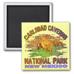 Carlsbad Caverns National Park, New Mexico Magnet at Zazzle