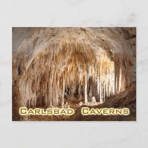 Carlsbad Caverns National Park New Mexico Postcard