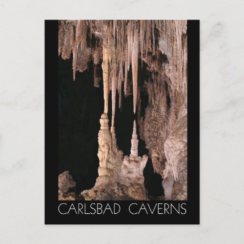 Carlsbad Caverns National Park New Mexico Postcard