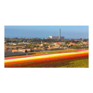 Carlsbad Flower Fields Card