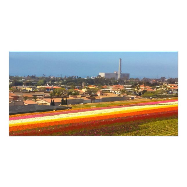 Carlsbad Flower Fields Card (Front)