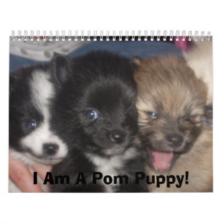 Carma's Pomeranian's Calendar