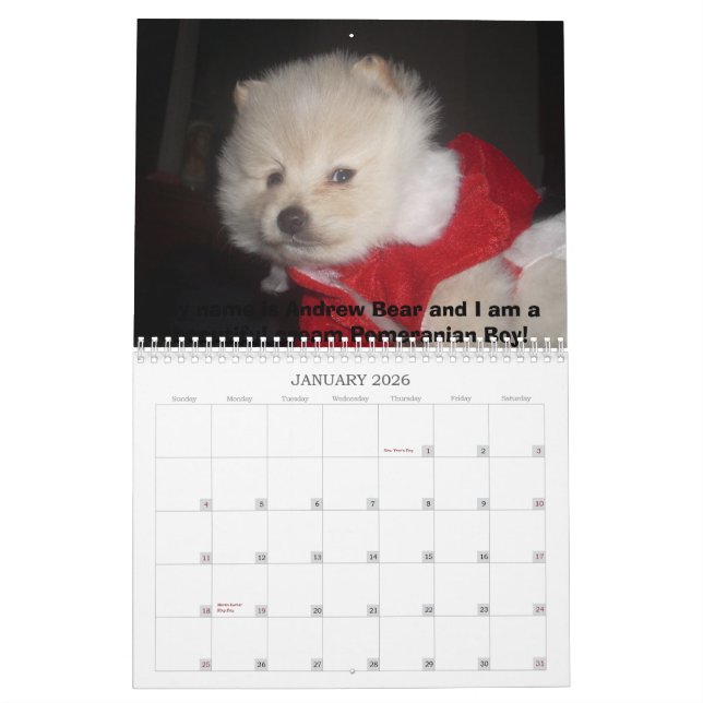 Carma's Pomeranian's Calendar (Jan 2026)