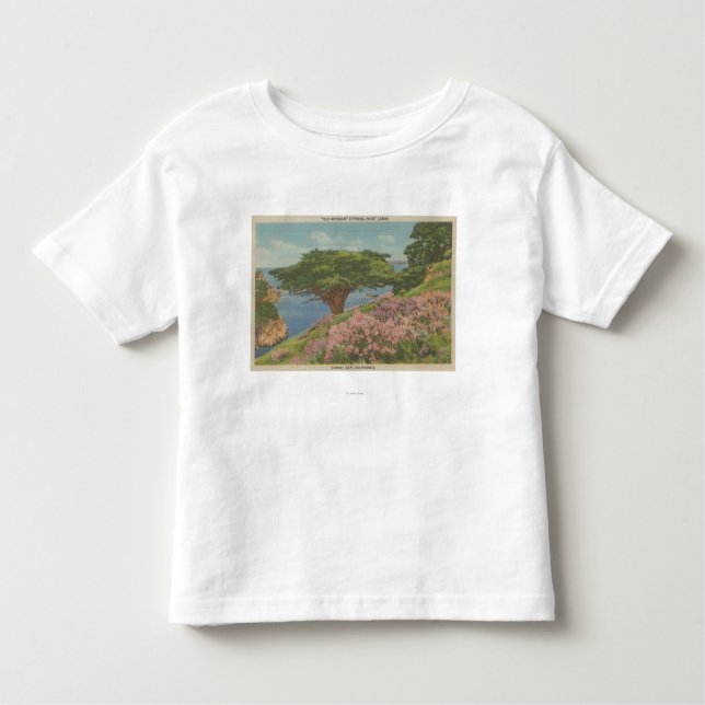 Carmel Bay, CA - View of "Old Veteran" Tree Toddler T-shirt (Front)