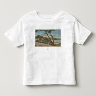 Carmel, CA - Homes along The Shore View Toddler T-shirt