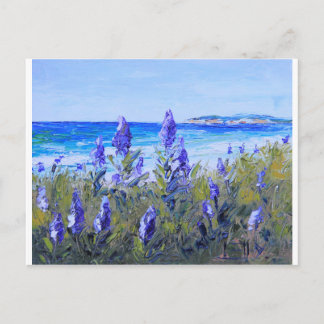 Carmel California, Beach, Lupins, Landscape Art Postcard