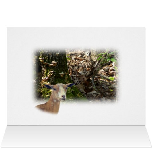 Carmel Mini Dairy Doe Goat- customize (Inside Horizontal (Top))