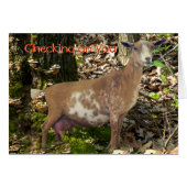 Carmel Mini Dairy Doe Goat- customize (Front Horizontal)