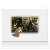 Carmel Mini Dairy Doe Goat- customize Cards (Inside Horizontal (Top))
