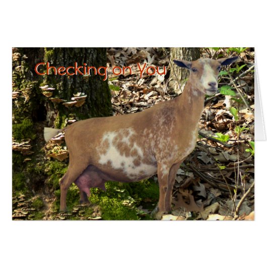 Carmel Mini Dairy Doe Goat- customize Cards (Front Horizontal)