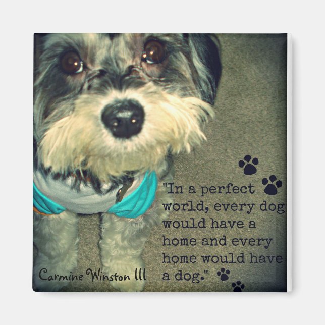 Carmine Winston III- "In a Perfect World.." Magnet (Front)