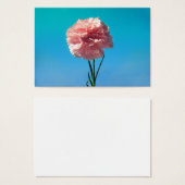 Carnation (Front & Back)