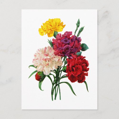 Carnation and Marigold Bouquet by Redoute Postcard