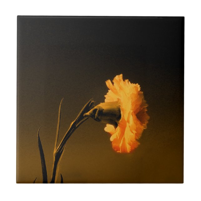 Carnation Ceramic Tile (Front)
