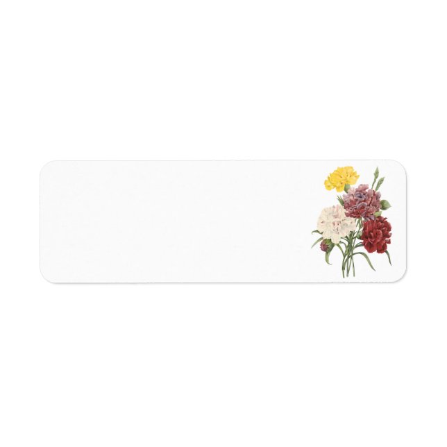 carnation(Dianthus sp.) by Redouté Label (Front)