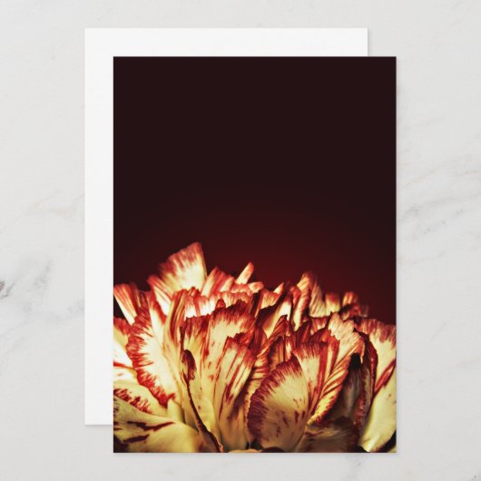 Carnation Fire invitations (Front/Back)