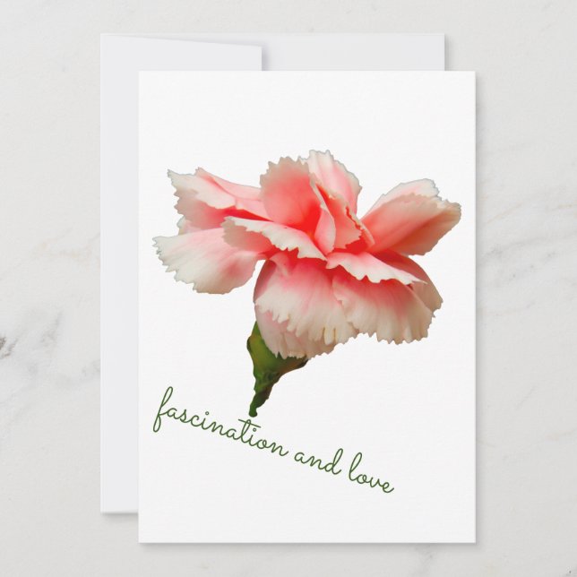 Carnation flower. Fascination and love. Invitation (Front)