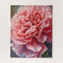 Carnation flower